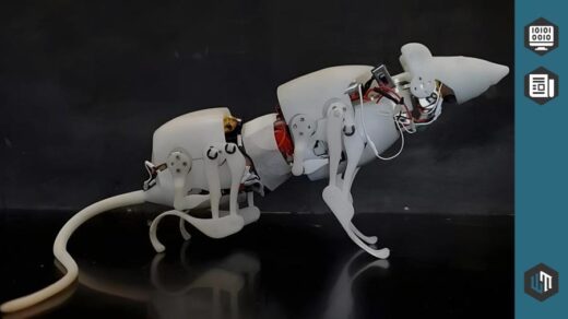 SQuRo - роботизированная крыса от инженеров из Китая