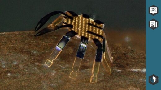 Микроскопический робот-краб от ученых из Иллинойса